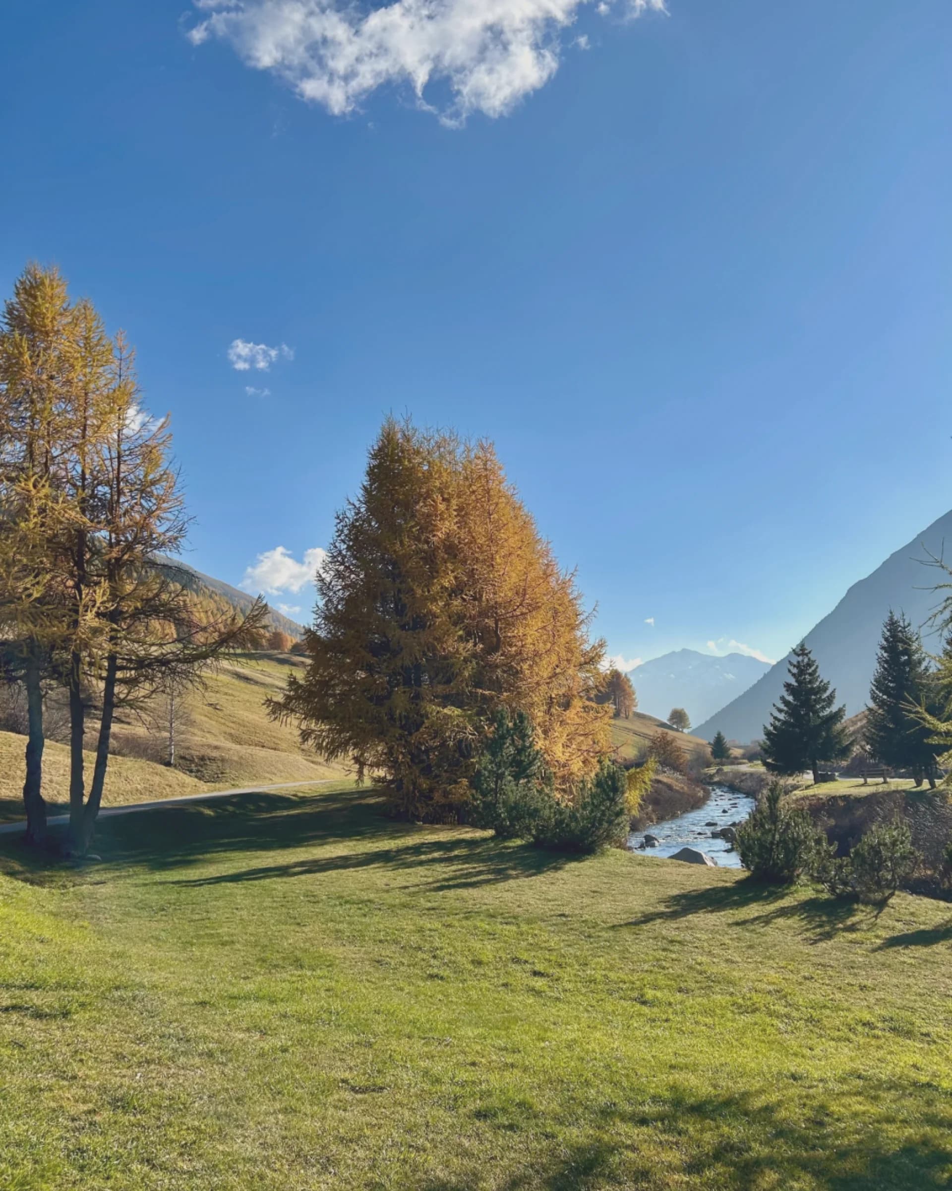 Il paesaggio estivo sopra Livigno